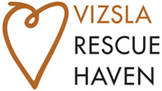 VIZSLA RESCUE HAVEN